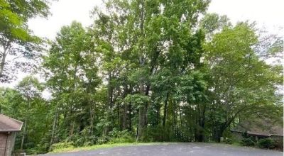 Gated Cummings Cove Golf & Country Club cul-de-sac lot with southern exposure and mountain views.