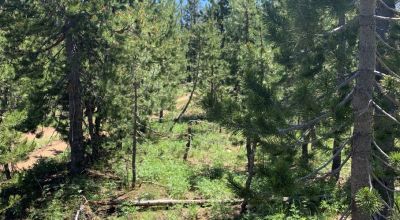 South Central Oregon Mountain Lakes Area Property - Great for Camping