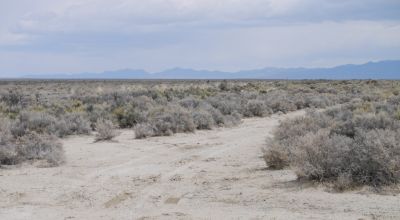 2 adjoining 80 acre parcels * Dolly Varden