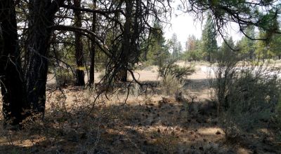 Southern Oregon Sprague River - Trees - Power - Main Road Access