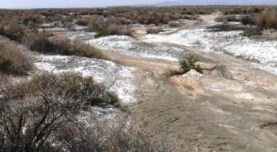 Classic Nevada Desert - Just off Hwy 95