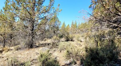 Sprague River Valley Views * Trees * Mobiles, modulars, site-builds ok