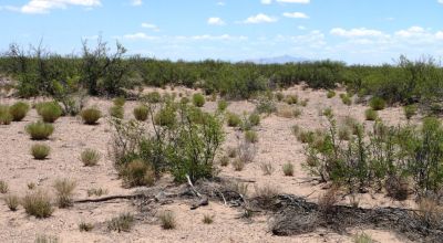 5 acres south of Deming New Mexico. Classic Desert land. Camp RV Build