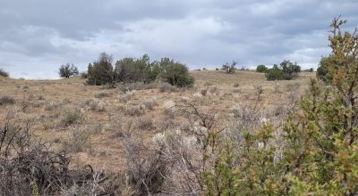 30 acre Central New Mexico Property Windmill Ranch Excellent Roads. Power at Road