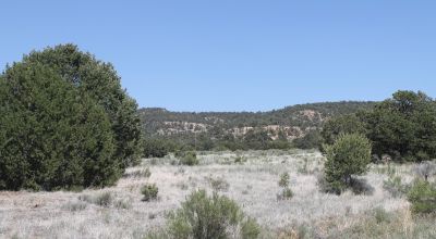 Rolling Hills Near mountains and Government lands Western New Mexico