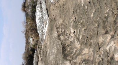 Classic Nevada Desert - Just off Hwy 95