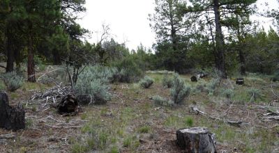 20 acres Oregon Forested Mountain land  near Lakeview & Drews Gap Summit