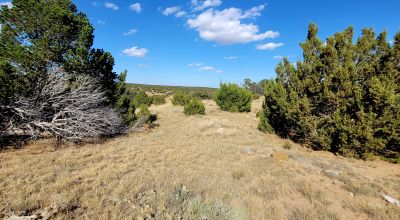 Treed Parcel - Arroyo at Back Property Line - Views - Near 2 Lakes