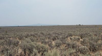 Taos New Mexico 1/2 acre parcel * mobiles, modulars site-builds ok