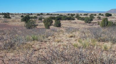 Remote Desert Beauty with Seasonal Creek