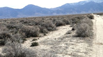 2 adjoining 80 acre parcels * Dolly Varden