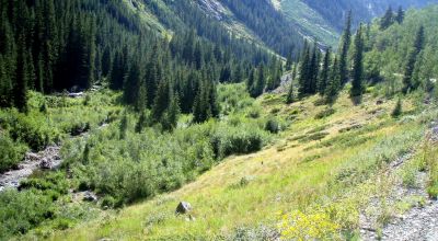 Scenic Pristine Colorado Mountain land - Henson Creek flows thru property