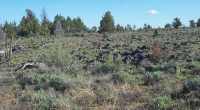 Spacious 8+ acres of Remote Oregon Wilderness