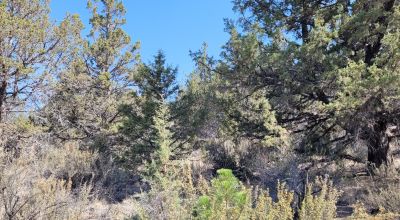 Sprague River Valley Views * Trees * Mobiles, modulars, site-builds ok
