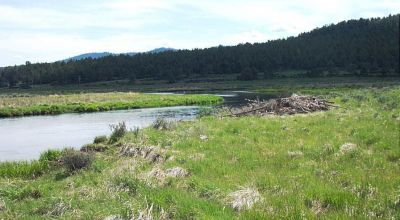 2.62 Acres on the Sprague River