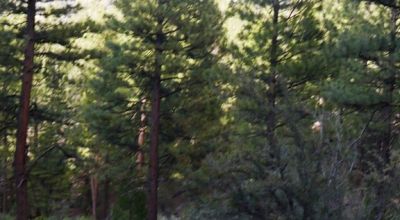 10 acres on the Hill with trees - Easterly Views - 15 miles to Lakeview Oregon