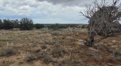 30 acre Central New Mexico Property Windmill Ranch Excellent Roads. Power at Road