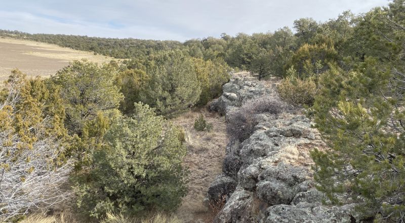 Rare! Bureau of Indian Affairs Inholding 40 acres - New Mexico