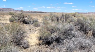 Scenic New Mexico Desert 25 miles N-NW of Grants - 1 acre parcels - Camp RV Build