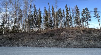 Residential Treed Parcel - Western Outskirts Wasilla Alaska - Backs to Open Space