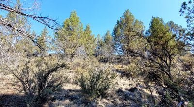 Sprague River Valley Views * Trees * Mobiles, modulars, site-builds ok