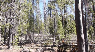 South Central Oregon Mountain Lakes Area Property - Great for Camping