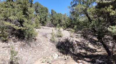 Santa Fe County New Mexico 5 acres in the Mountains - Seasonal Creeks