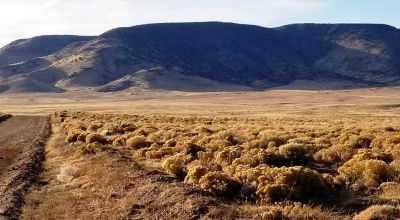 Recreational Camping Lots near Rio Grande River - Several to choose from