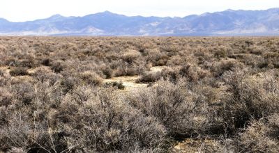 2 adjoining 80 acre parcels * Dolly Varden