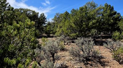 Half acre in Taos County New Mexico - Camp RV Build - No restrictions