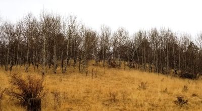 Cripple Creek Mountain Estates - Scenic Views - Residential parcel