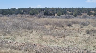 Surrounded by Santa Fe National Forest - Near Las Campanas and Golf Course - 8 Miles from Santa Fe