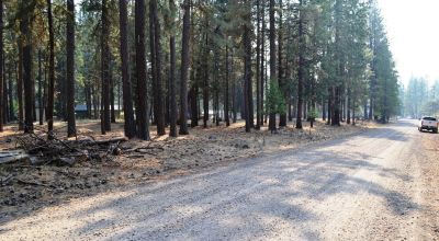 Keno Oregon Heavily Wooded Building Lot - Over One Acre - Power