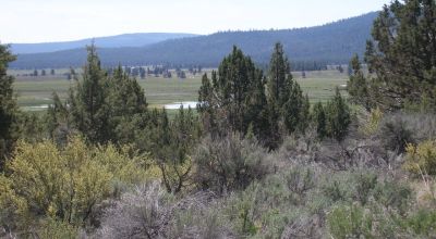 2 adjoining lots with wide open views of Sprague River and Valley