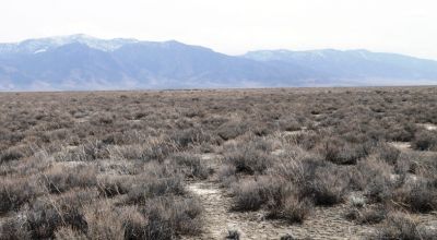 2 adjoining 80 acre parcels * Dolly Varden
