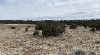 Rare! Bureau of Indian Affairs Inholding 40 acres - New Mexico