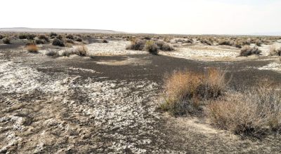 Classic Nevada Desert - Just off Hwy 95