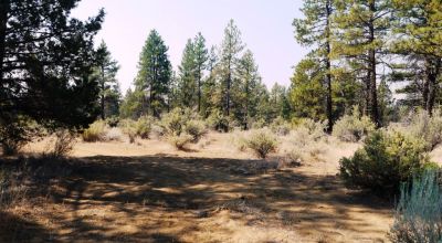 Southern Oregon Sprague River - Trees - Power - Main Road Access