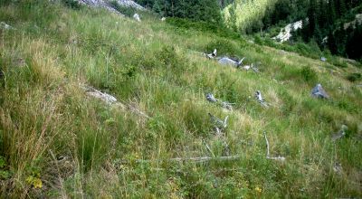 Scenic Pristine Colorado Mountain land - Henson Creek flows thru property