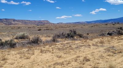 Hwy 509 Frontage - Power at road - Near Ambrosia Lake - Four 1-acre parcels available