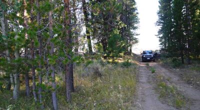 Remote - Island of Trees and Wet Weather Creek