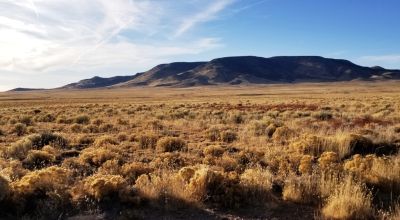 Recreational Camping Lots near Rio Grande River - Several to choose from