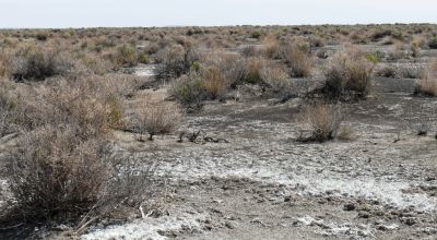 Classic Nevada Desert - Just off Hwy 95