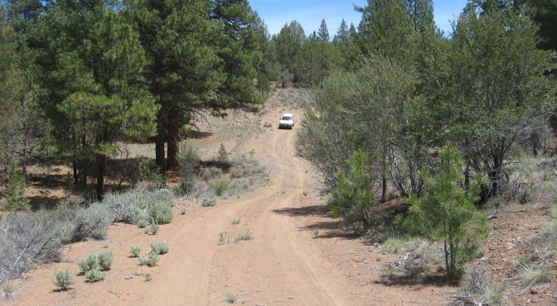 3 adjoining treed lots on cul de sac *