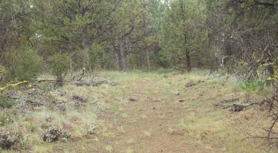 Forested Southern Oregon Property * Residential lot