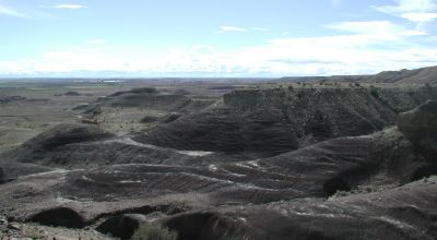 Scenic Duchesne County Utah -  160  acres - Dinosaur Fossil area???