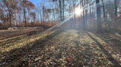 Lake Hartwell 1/2 acre Lakeside Build Lots