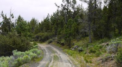40 acre Forested parcel includes base of the hill and part of the hill - Views Trees
