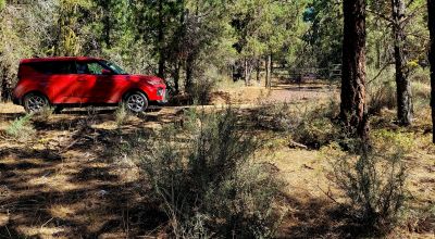 Trees - Meadows - Small Stream - Aspens