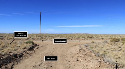 6.9 Acre Vacant Lot with Power Poles Located in Blanca, CO for starts at $299 per month
